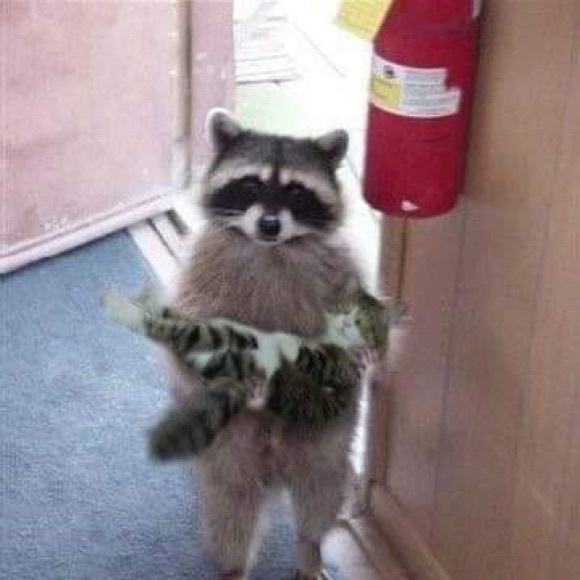 Meet your Posher, Robyn - Picture 1 of 1